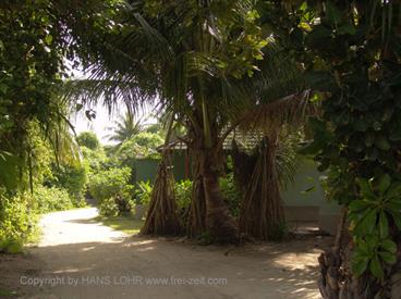 2004 Meedhupparu Malediven,_DSC03494 B_478